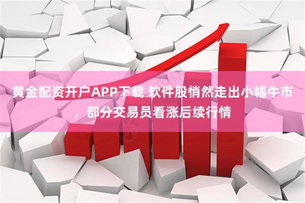 黄金配资开户APP下载 软件股悄然走出小幅牛市，部分交易员看涨后续行情